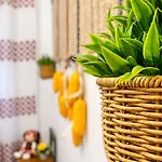 Romanian Spirit Apartman Bukarest