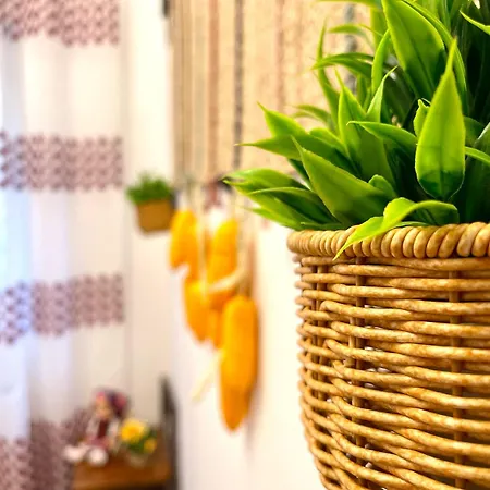 Romanian Spirit Apartament